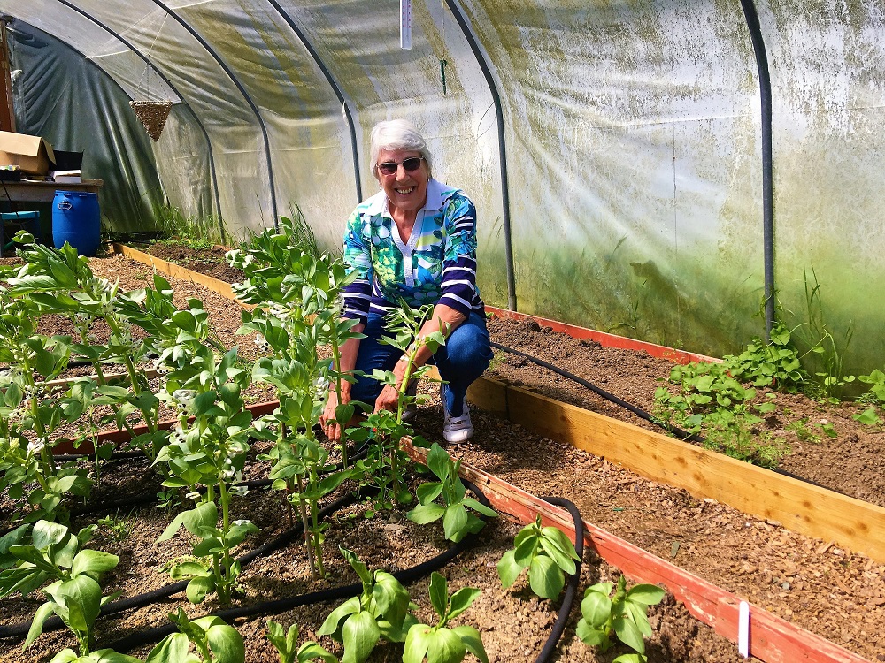 La idea del Proyecto Huerta surgió en el marco de una evaluación más amplia realizada por Emaús Village Carlton en sus terrenos, que tenía como finalidad hacer un mejor uso de dichos terrenos, para ayudar tanto la empresa social como a los compañeros.