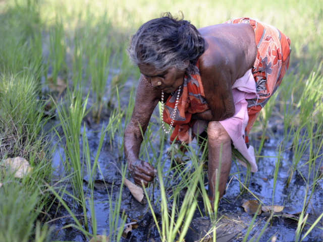 Solidarity with peasants’ struggles for a sustainable world