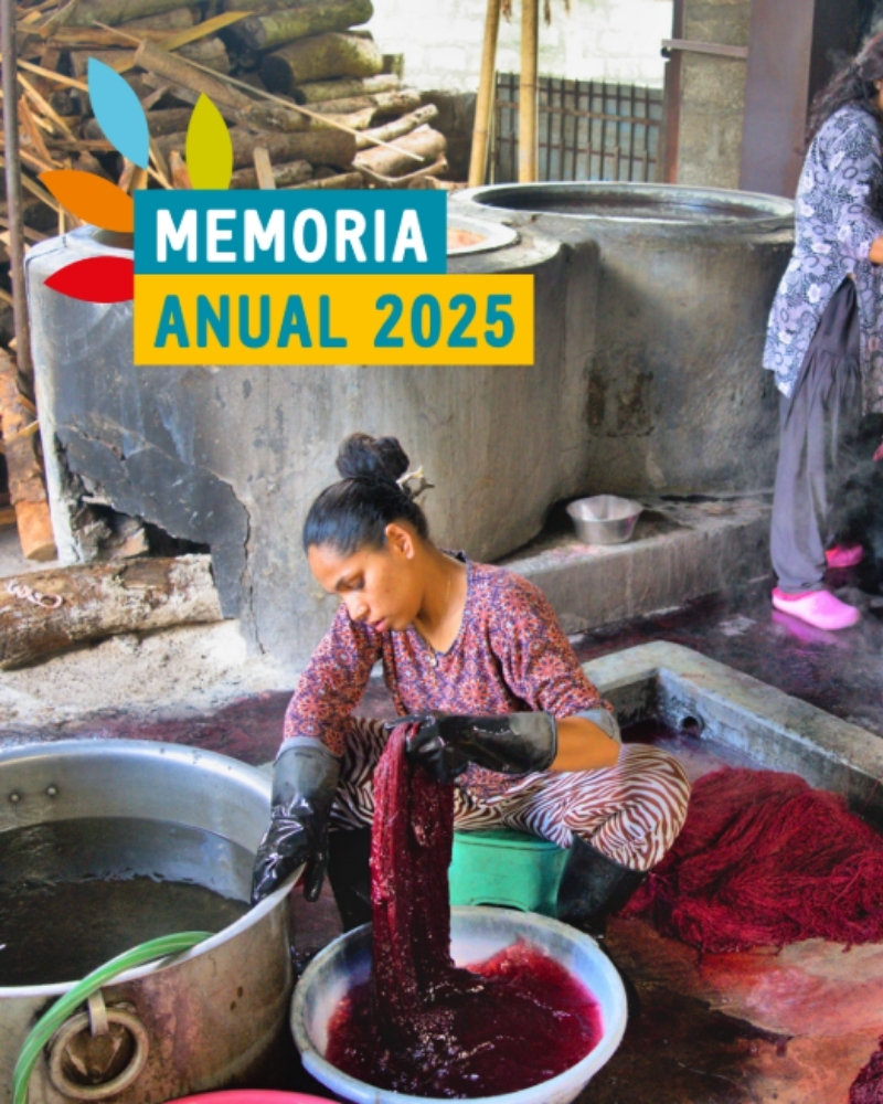 Memoria Anual 2025