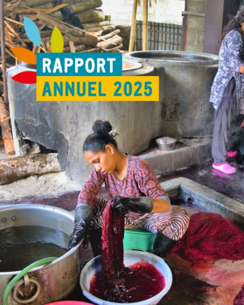Rapport annuel 2025